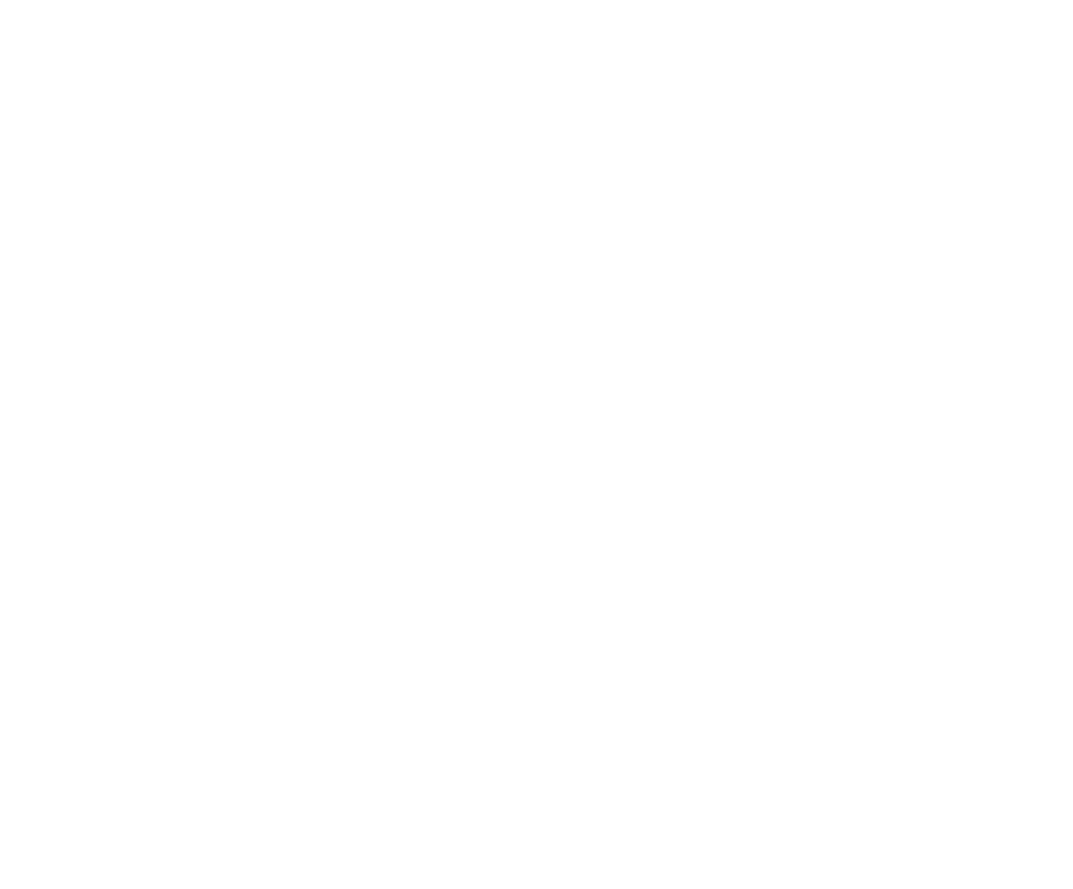 stylized silhouette of a purple fern