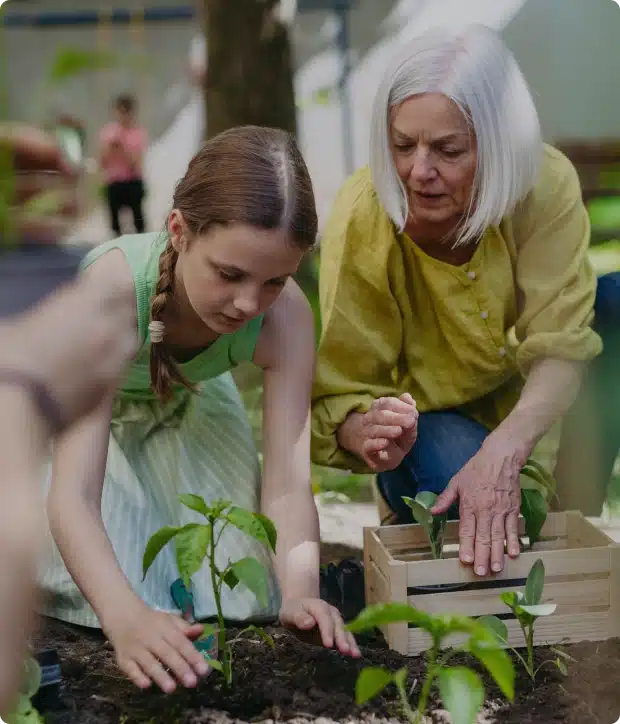 Multigenerational gardening activity with girl and older woman caring for green seedlings outdoors