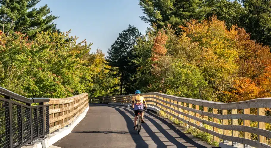 Cyclist on forest bike path bordered by wooden rails and colorful early autumn foliage