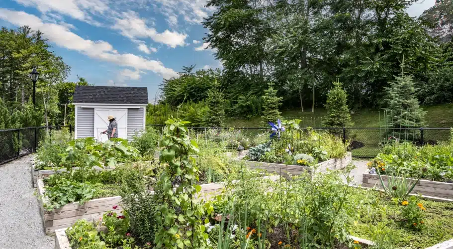 Raised garden beds in the Community Garden, a resident-led Garden Club amenity at The Apartments at Cold Brook Crossing in Sudbury, MA.